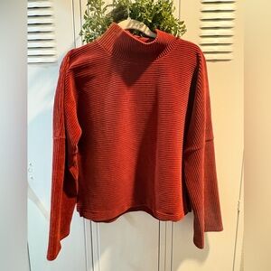 Madewell Texture & Thread corduroy turtleneck sweater in a rust sz M Super Soft